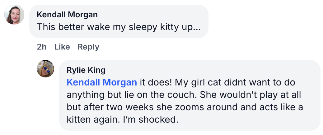 A screenshot of a social media comment thread discussing a product for cats.