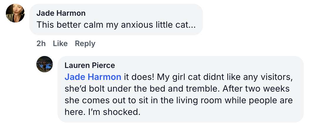 A social media conversation where one user gives a positive review about a product for anxious cats.
