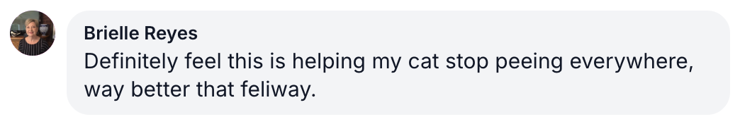 Screenshot of a comment praising cat product effectiveness over Feliway.