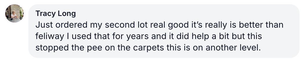 A text comment praising a product for stopping pee on carpets, preferred over Feliway.