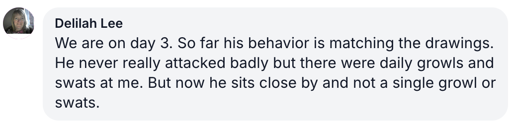 A testimonial from Delilah Lee about an animal's improved behavior over three days.