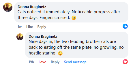 Two Facebook comments about peaceful progress between feuding cats, with smiling emojis.