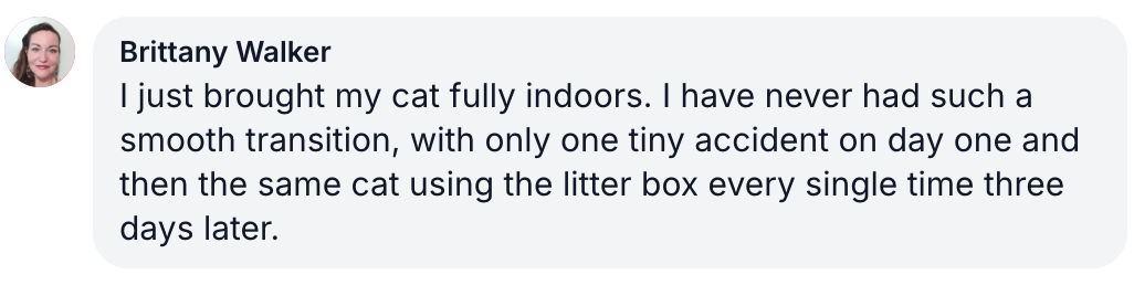 A social media post about a cat's smooth transition to living indoors.