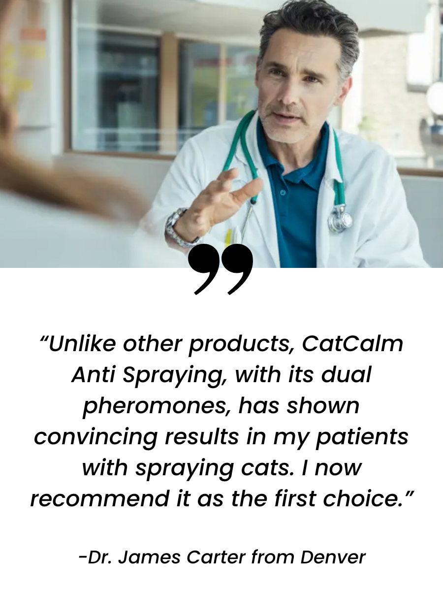 Doctor in white coat and stethoscope speaking, quote about CatCalm product below.