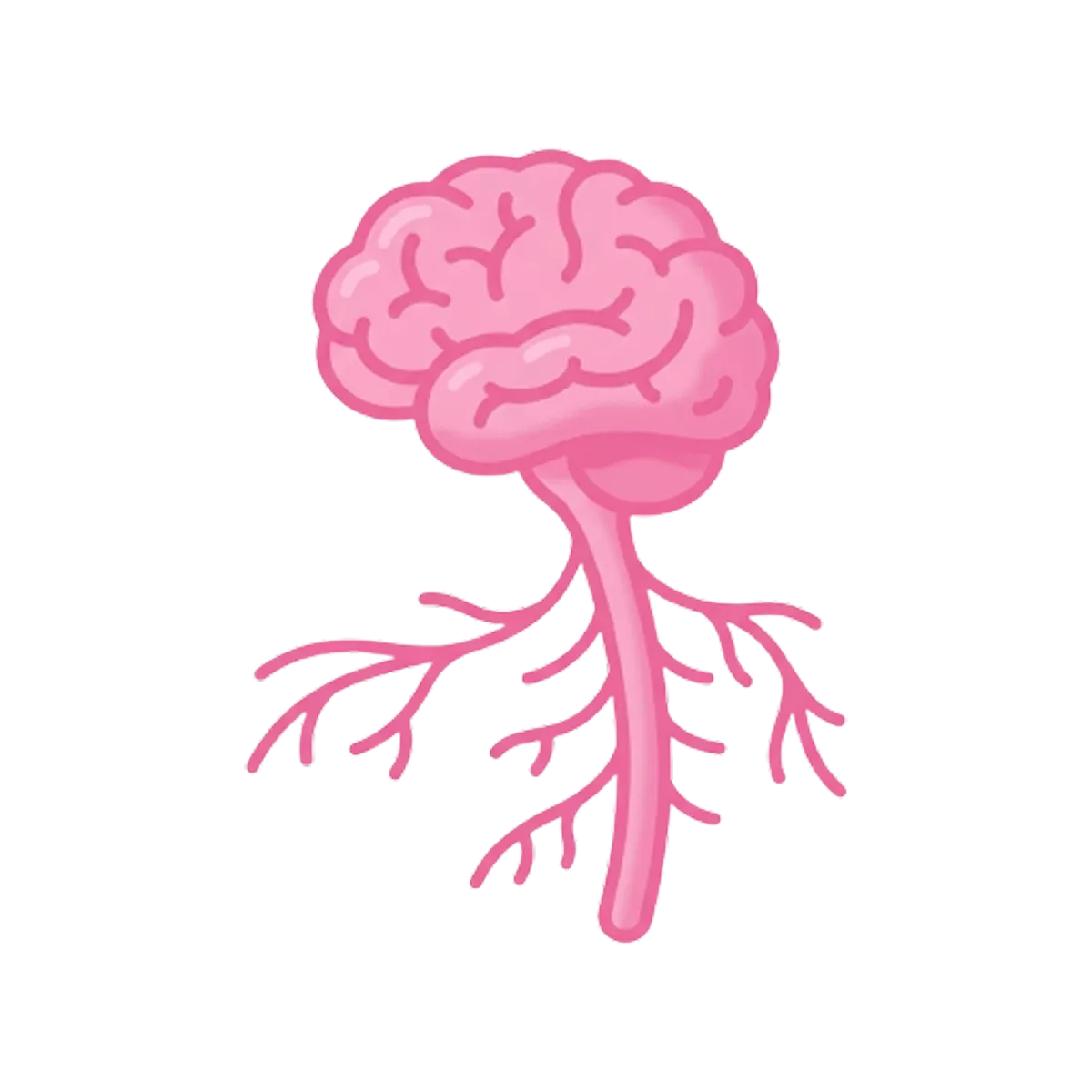 Illustration of a pink brain with a brainstem and nerves.