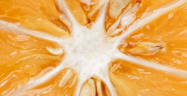 Clinal Dose Vitamins & Minerals