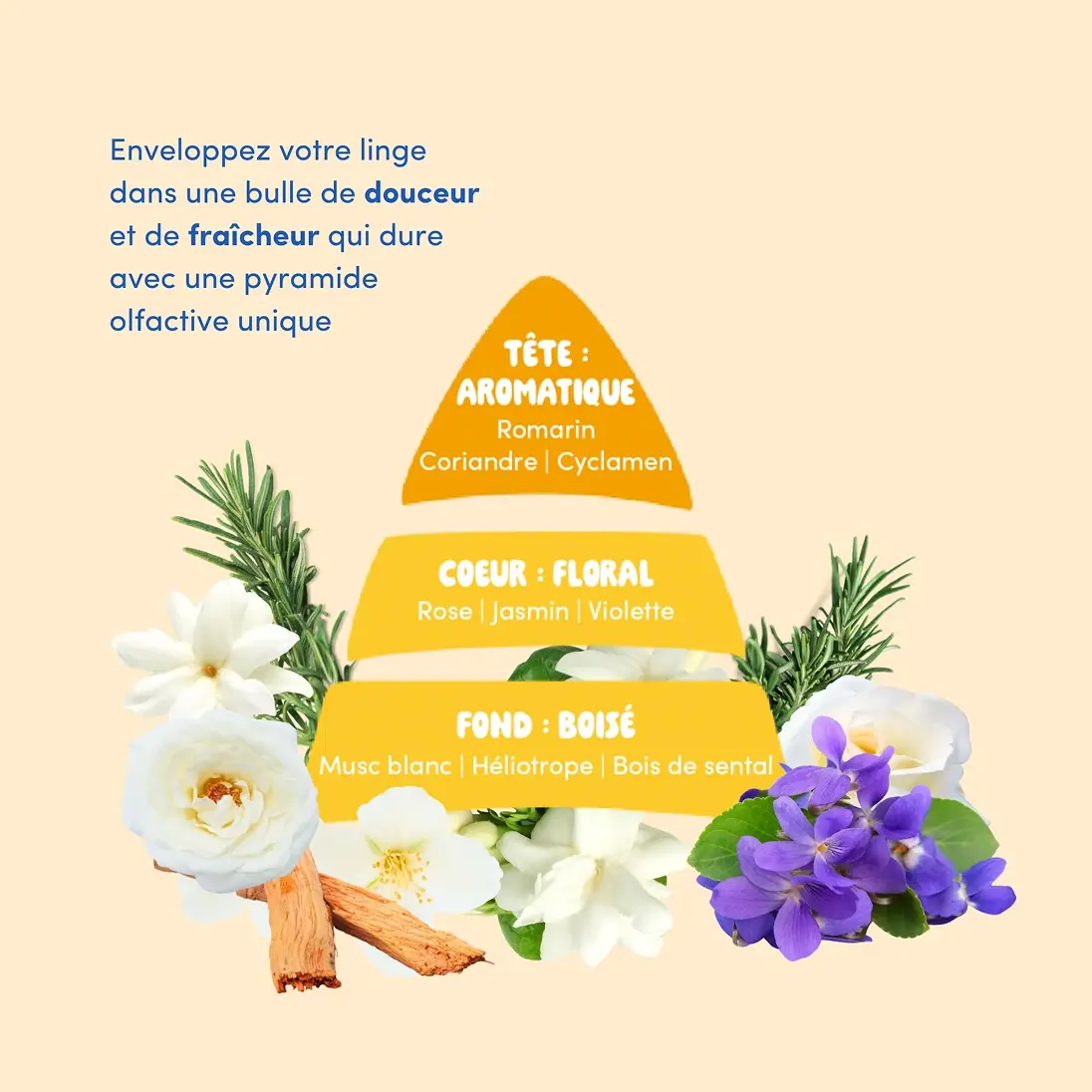 A French infographic showing a fragrance pyramid with illustrations of flowers, herbs, and wood representing different scent notes.