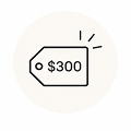 An icon of a price tag with the text '$300' inside a circle.