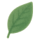 A single green leaf emoji on a transparent background.
