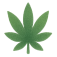 Illustration of a green cannabis leaf on a white background.
