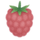 Illustration of a single raspberry with a green stem.