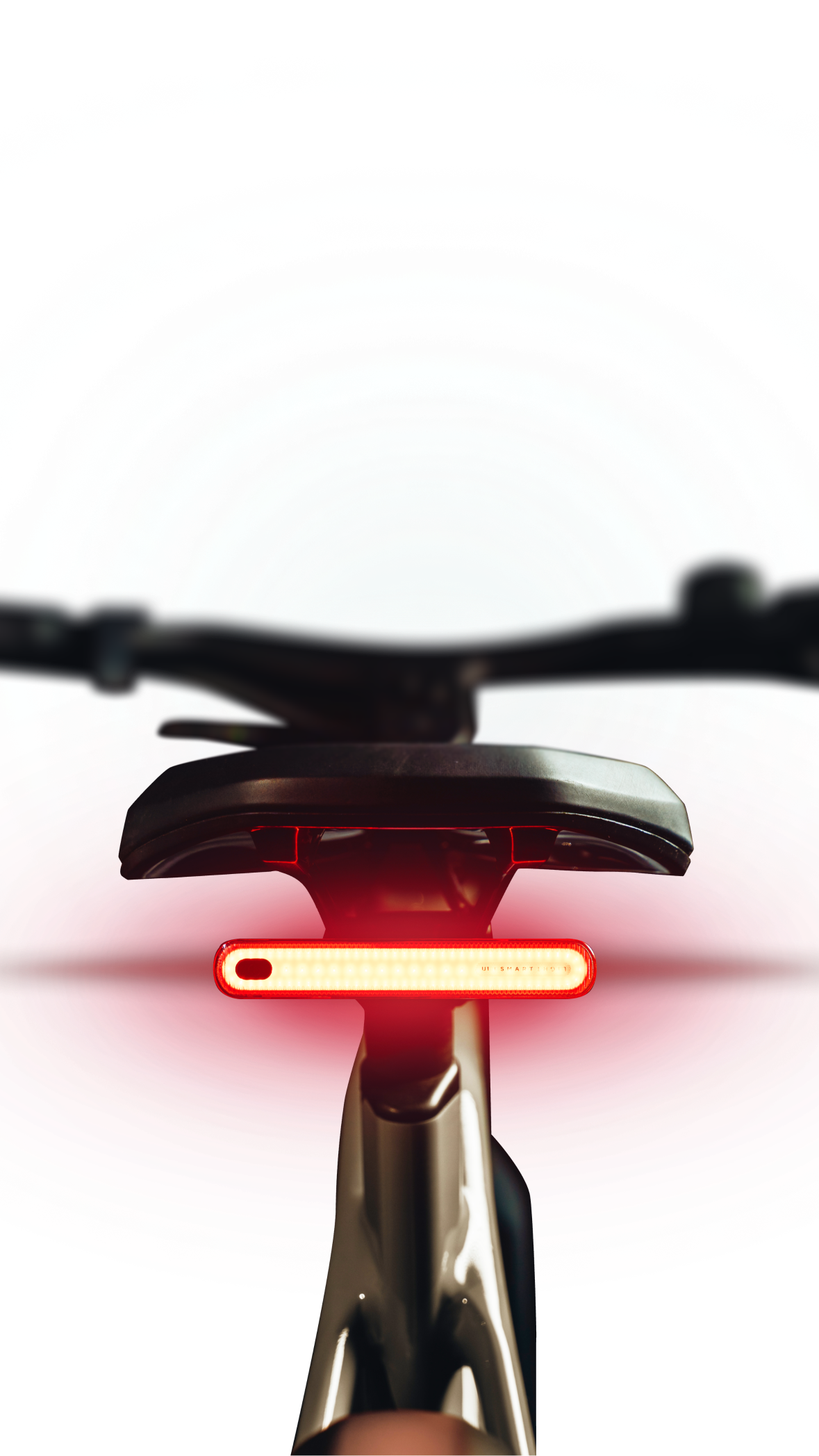 Bicicletta su