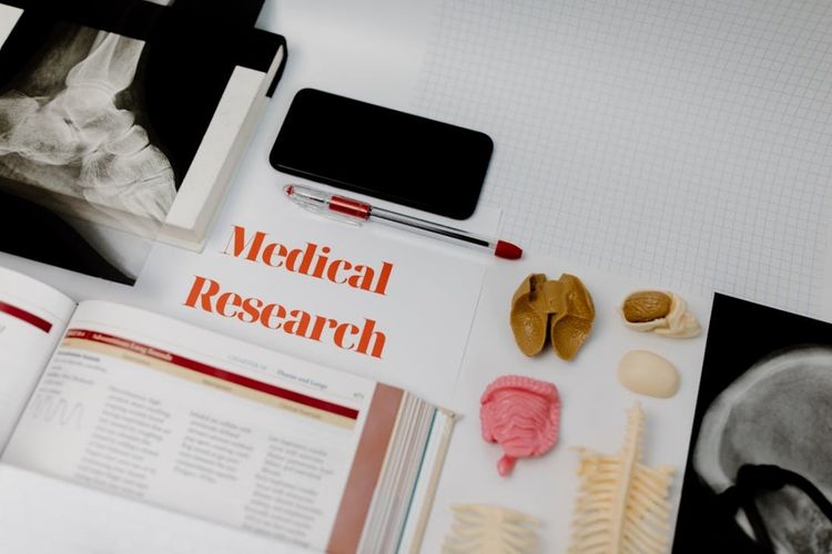 Medical research materials with anatomical models and X-rays on a desk.