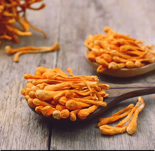 Wooden spoons filled with dried orange mushrooms on a rustic table.