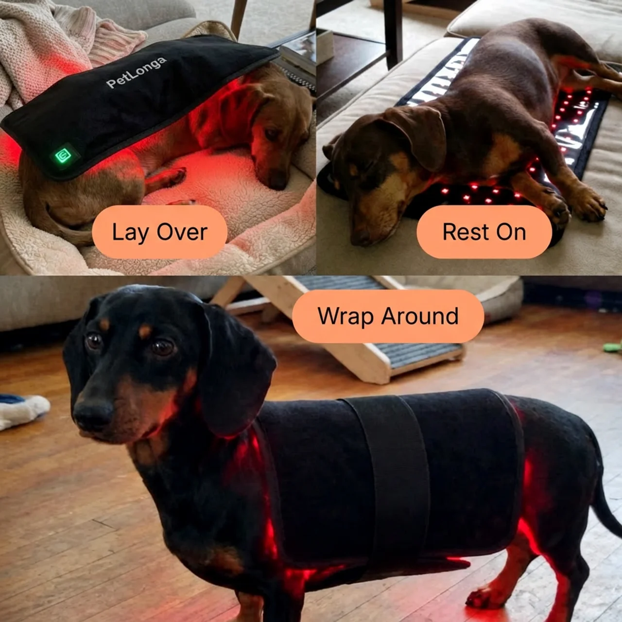 A collage of three photos showing dachshunds using a red light therapy wrap in different ways.