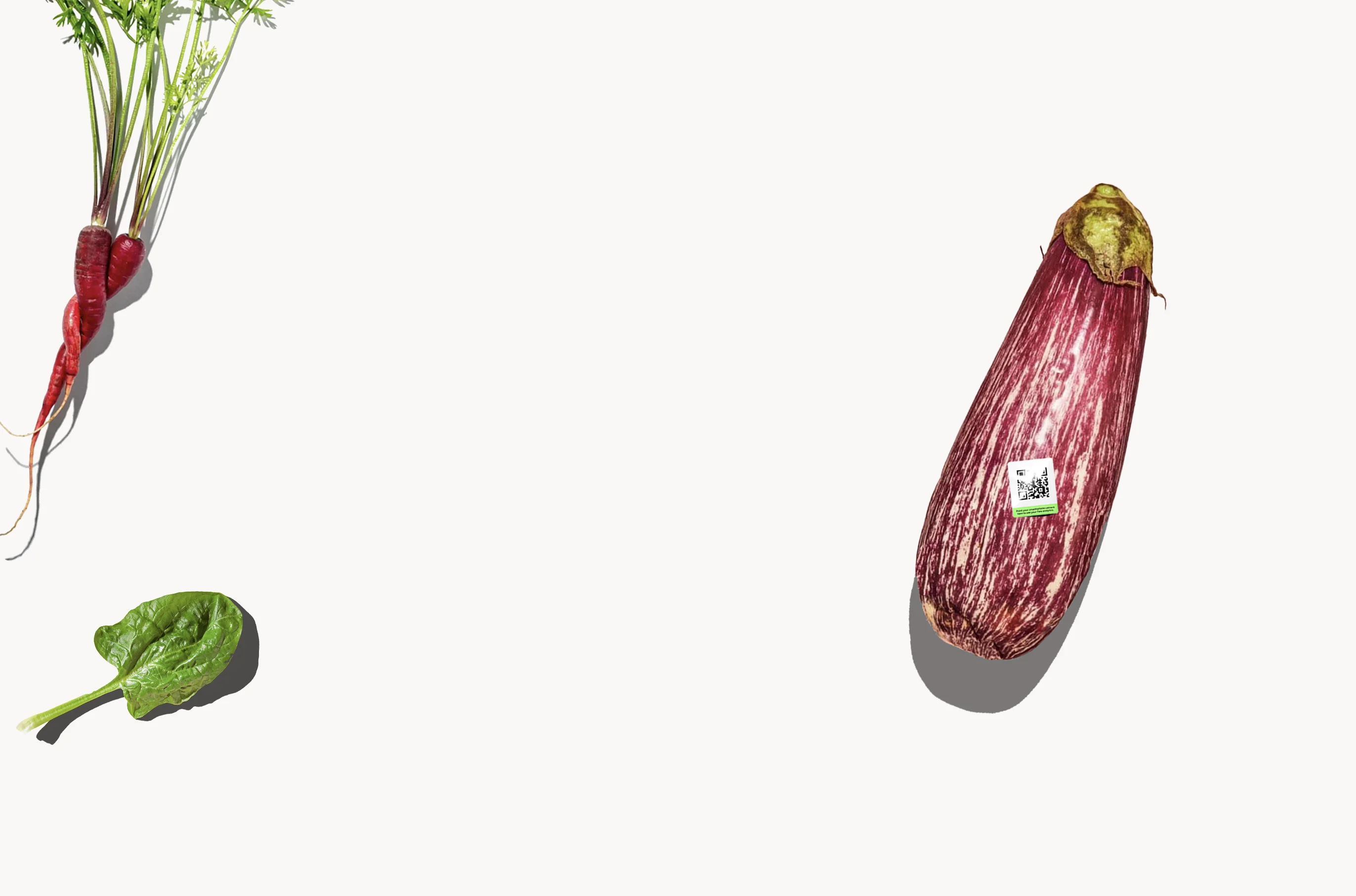 Red carrots with green tops, a spinach leaf, and a striped eggplant on a white background.