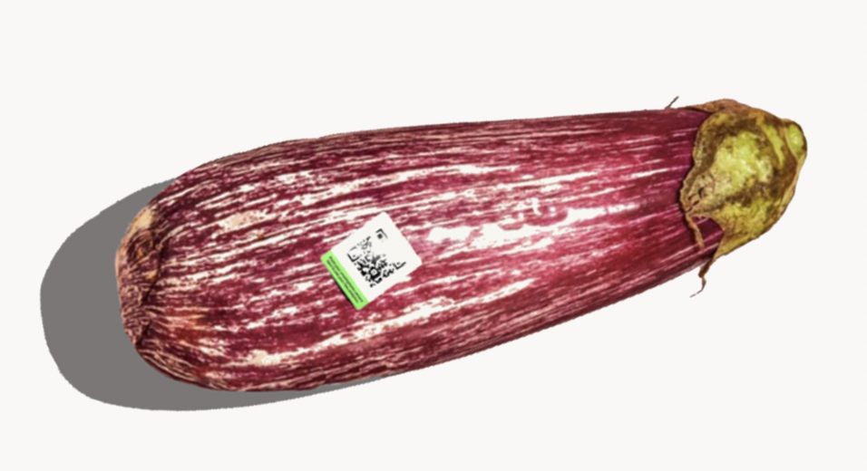 A hand holds a smartphone, taking a photo of an avocado with a QR code sticker on it.