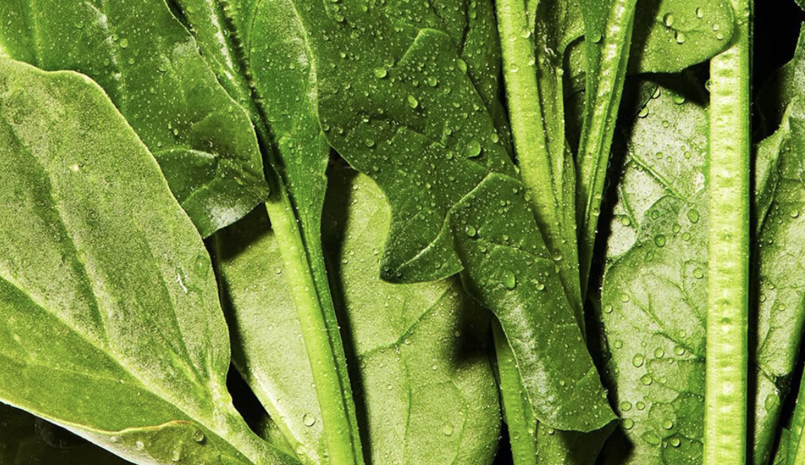 A close-up shot of fresh green spinach leaves and stems covered in water droplets.