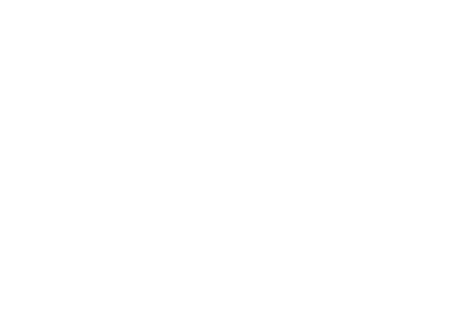 The white text logo for 'wellvi', where the dot on the 'i' is a leaf.
