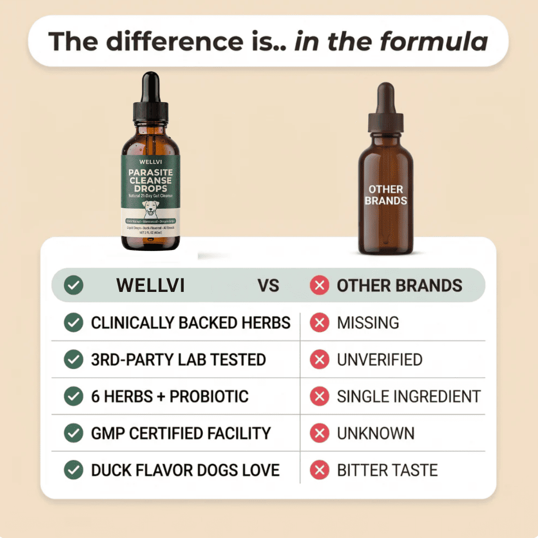 A graphic comparing Wellvi Parasite Cleanse Drops for dogs against other brands using a feature checklist.