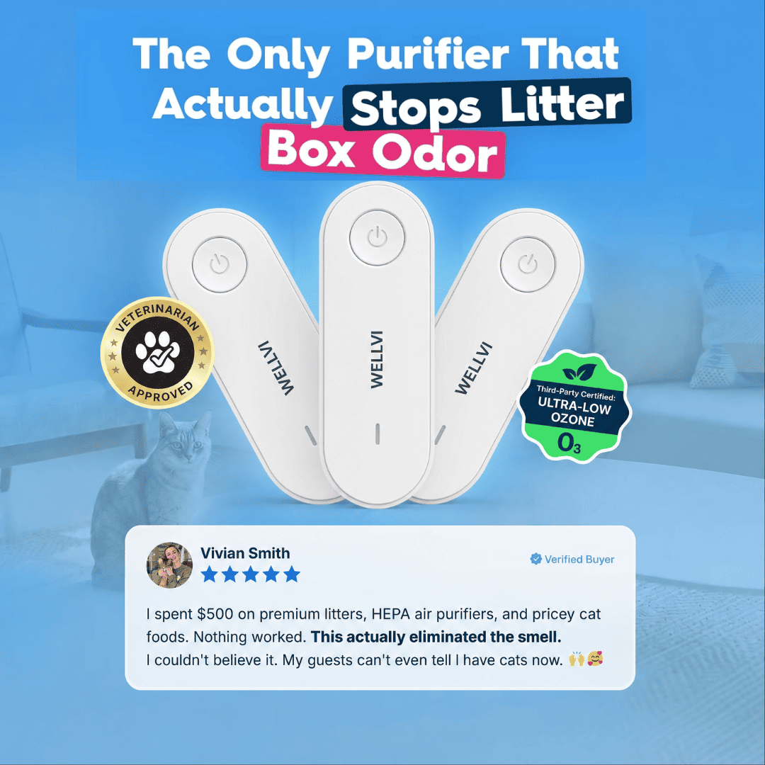 An advertisement for Wellvi purifiers showing three devices, a cat, and a positive customer testimonial about odor elimination.