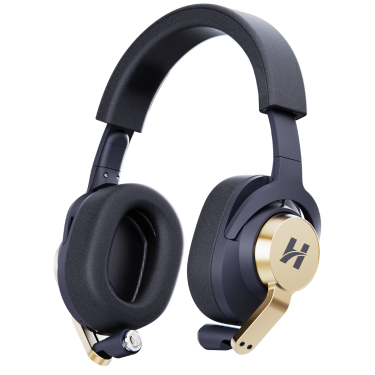 Black and gold over-ear headphones with a sleek design.