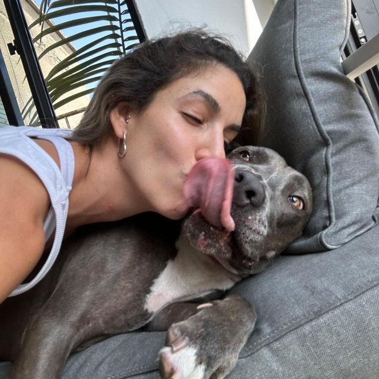 A woman with her eyes closed kisses a grey pit bull as it licks her face.