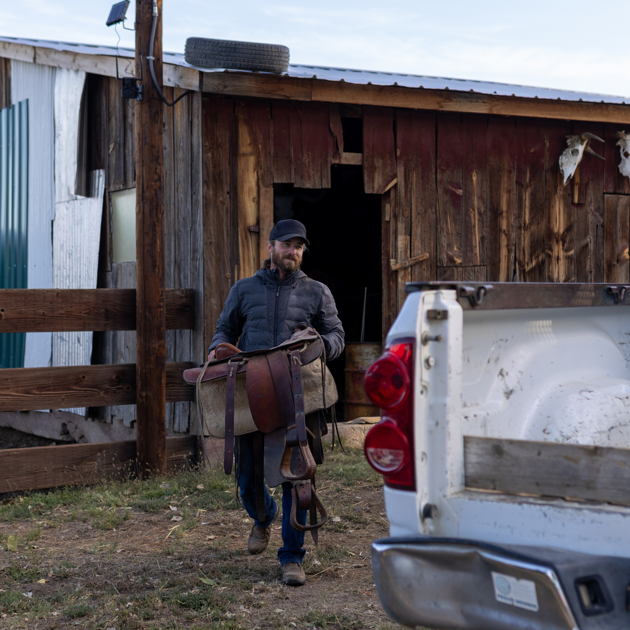 Man carrying a saddle near a rustic wooden barn and a pickup truck.