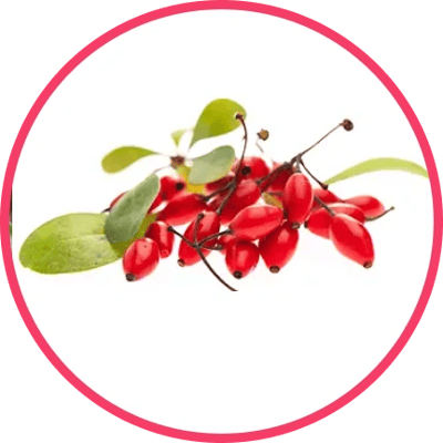 Berberine