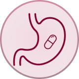 Icon representing digestive system and gut health