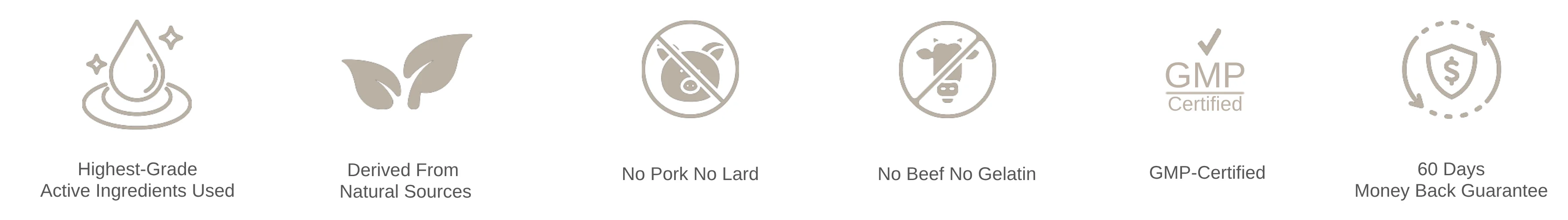 A row of six icons with accompanying text highlighting product features like natural ingredients and GMP certification.