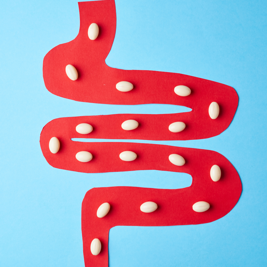 A red paper cutout of an intestine on a blue background, with white pills lining its path.