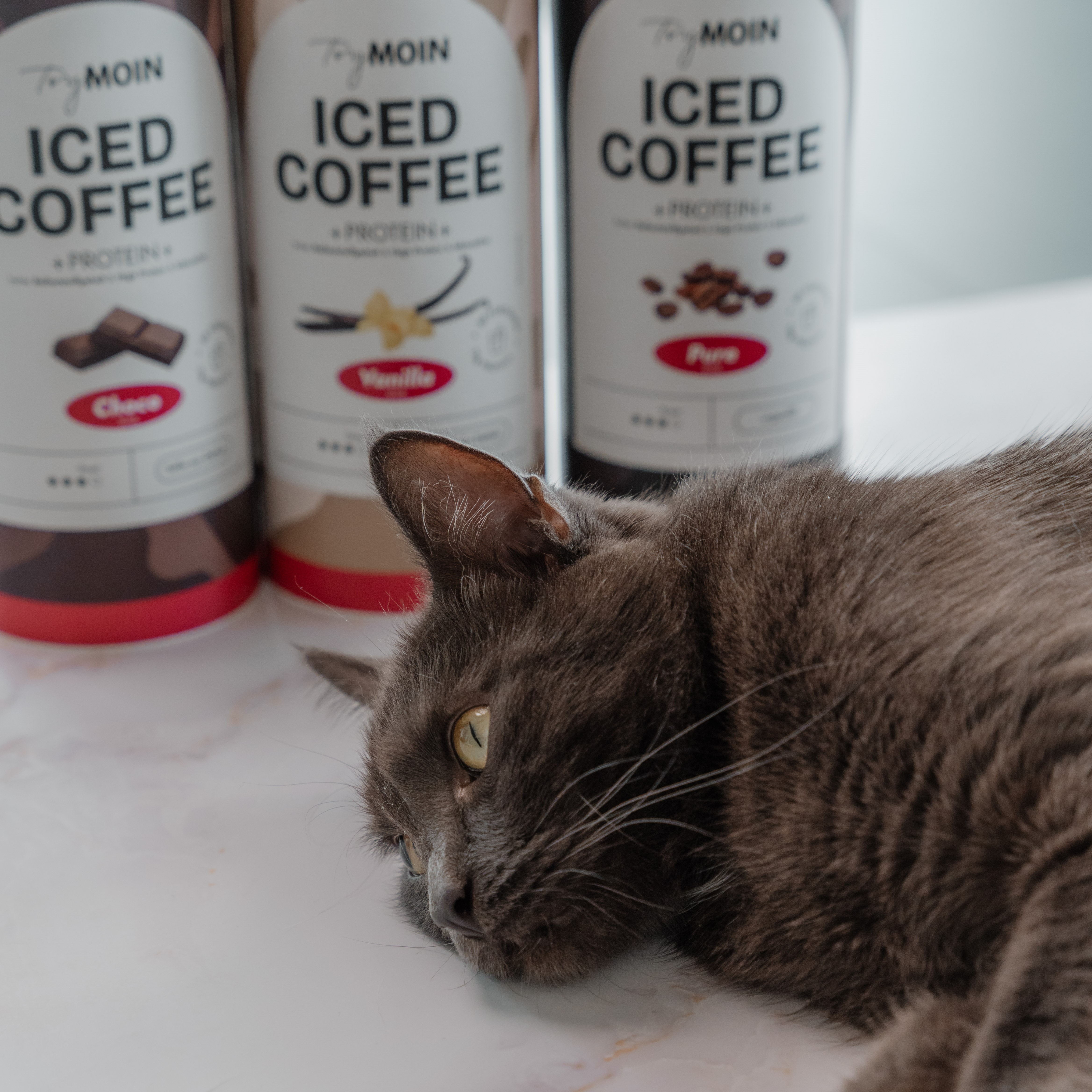 Gray cat lying on a surface near iced coffee bottles.