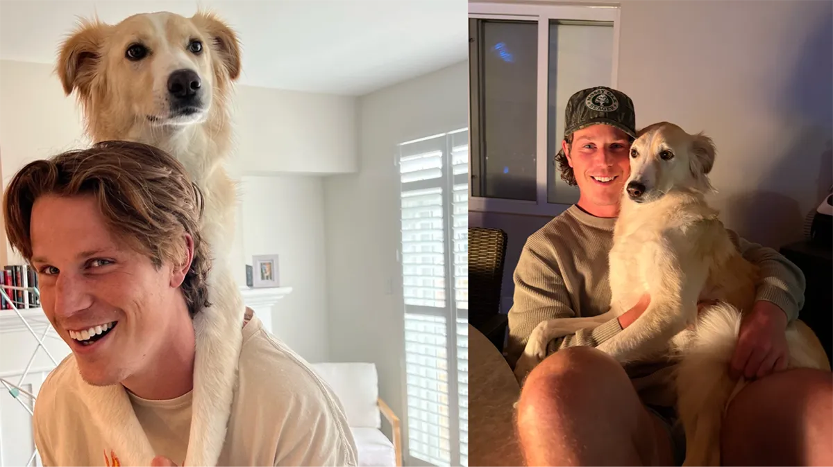 A split image showing a man with his dog on his shoulders and then sitting in his lap.