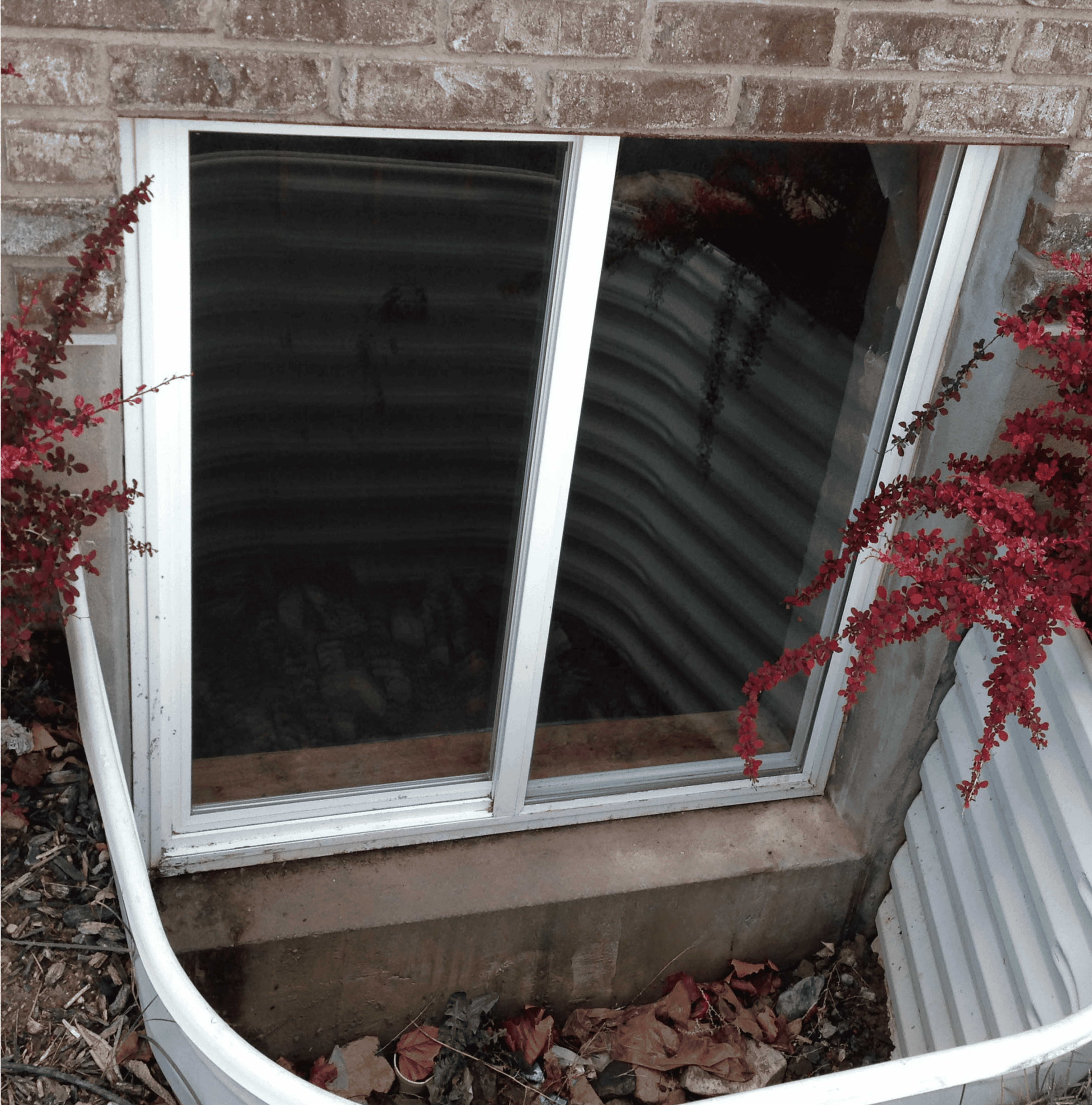 Window washing company near Cartersville GA providing same-day residential glass cleaning with eco-friendly solutions and affordable pricing