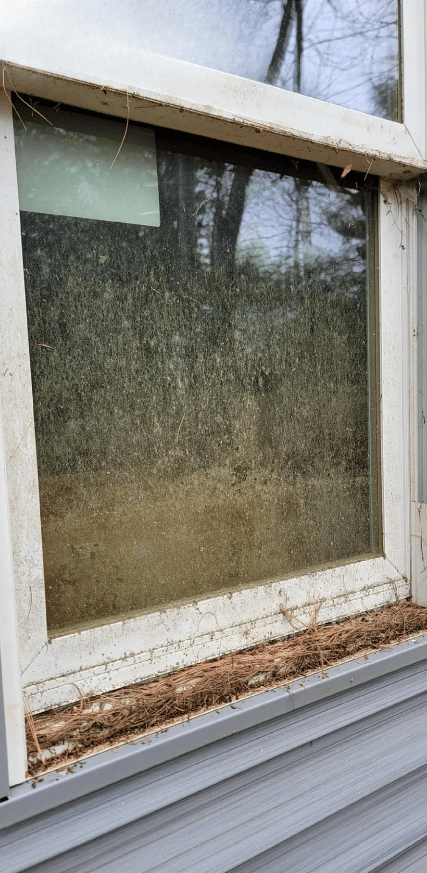 Remove hard water stains, pollen, and dirt with professional window cleaning in Marietta GA – trusted local window washing experts near me