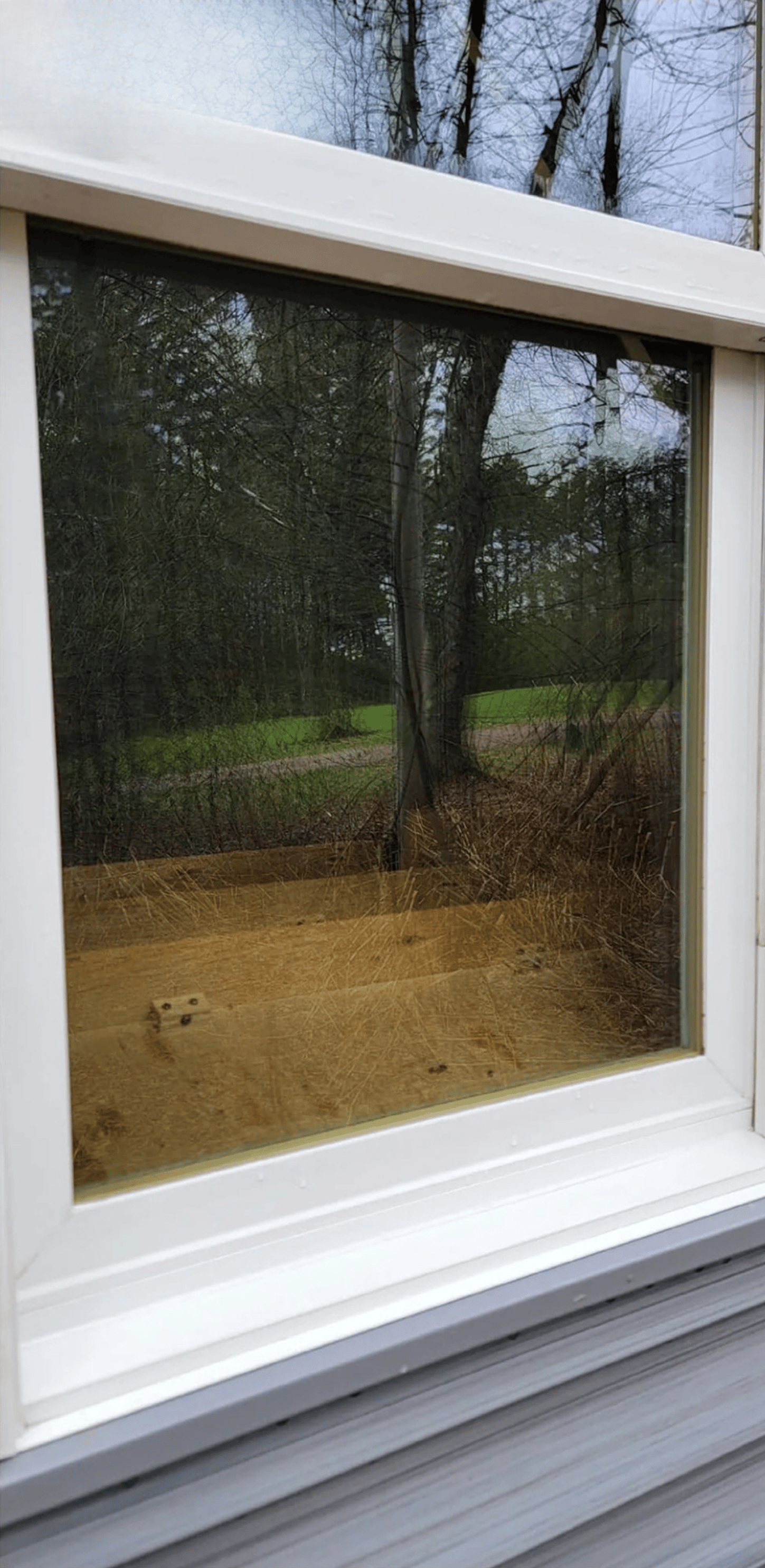 Experienced window washers in Cartersville GA for homes and storefronts – licensed and insured crew with spotless glass guarantee