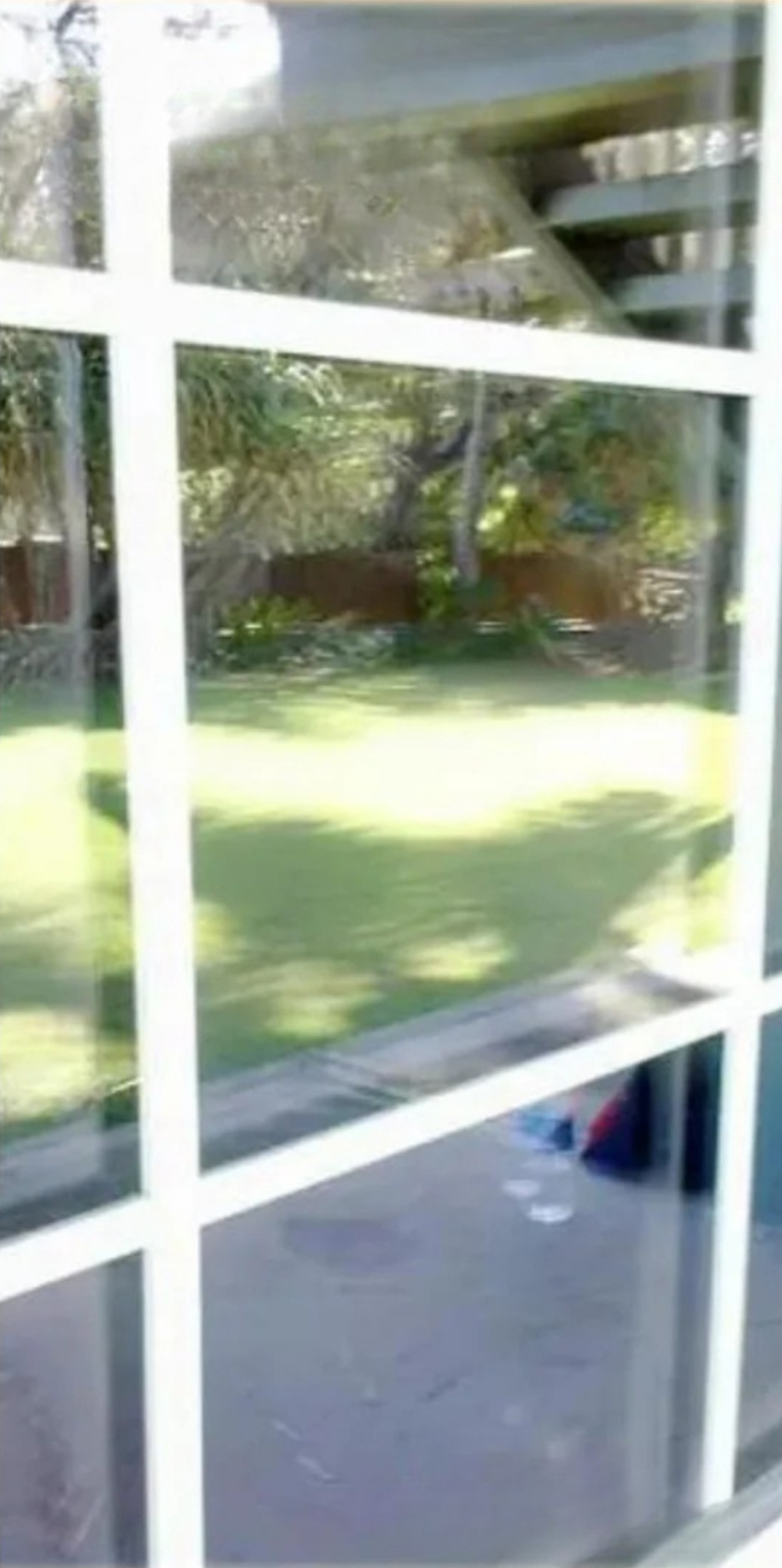 Top-rated window cleaning company in Cartersville GA – safe and insured window washing for residential glass, patios, and high windows