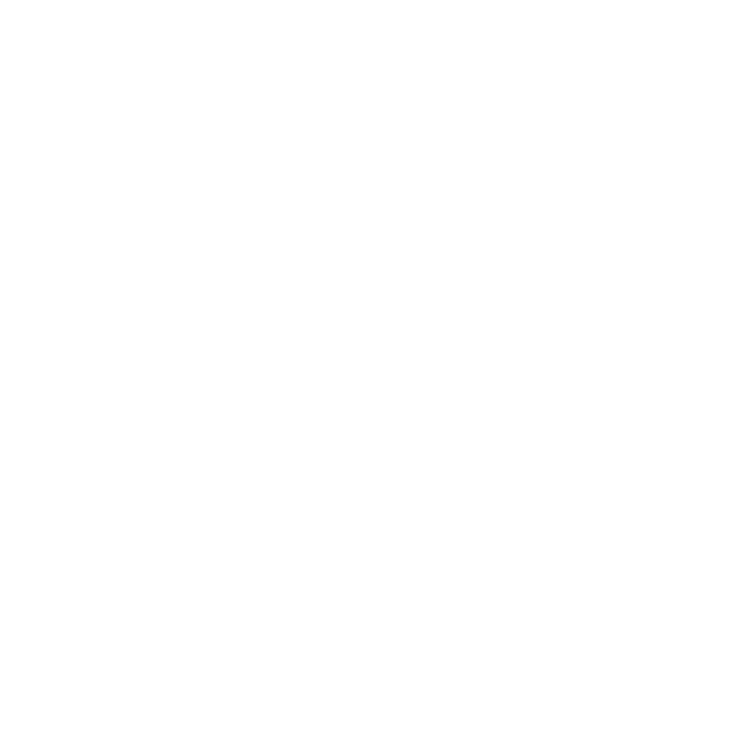 A white line-art icon of a delivery truck in motion, indicating speed.