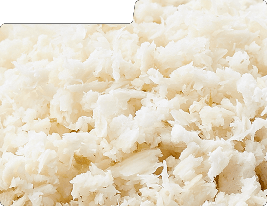 Close-up of shredded white coconut texture.