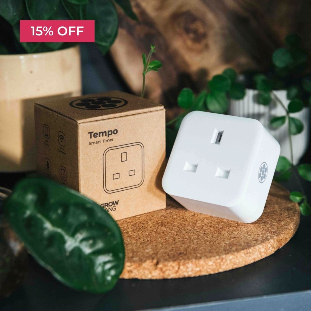 Smart timer device and packaging on a cork mat with plants, '15% OFF' label.