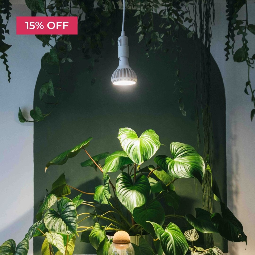 Hanging light over leafy green plants, '15% OFF' text in corner.