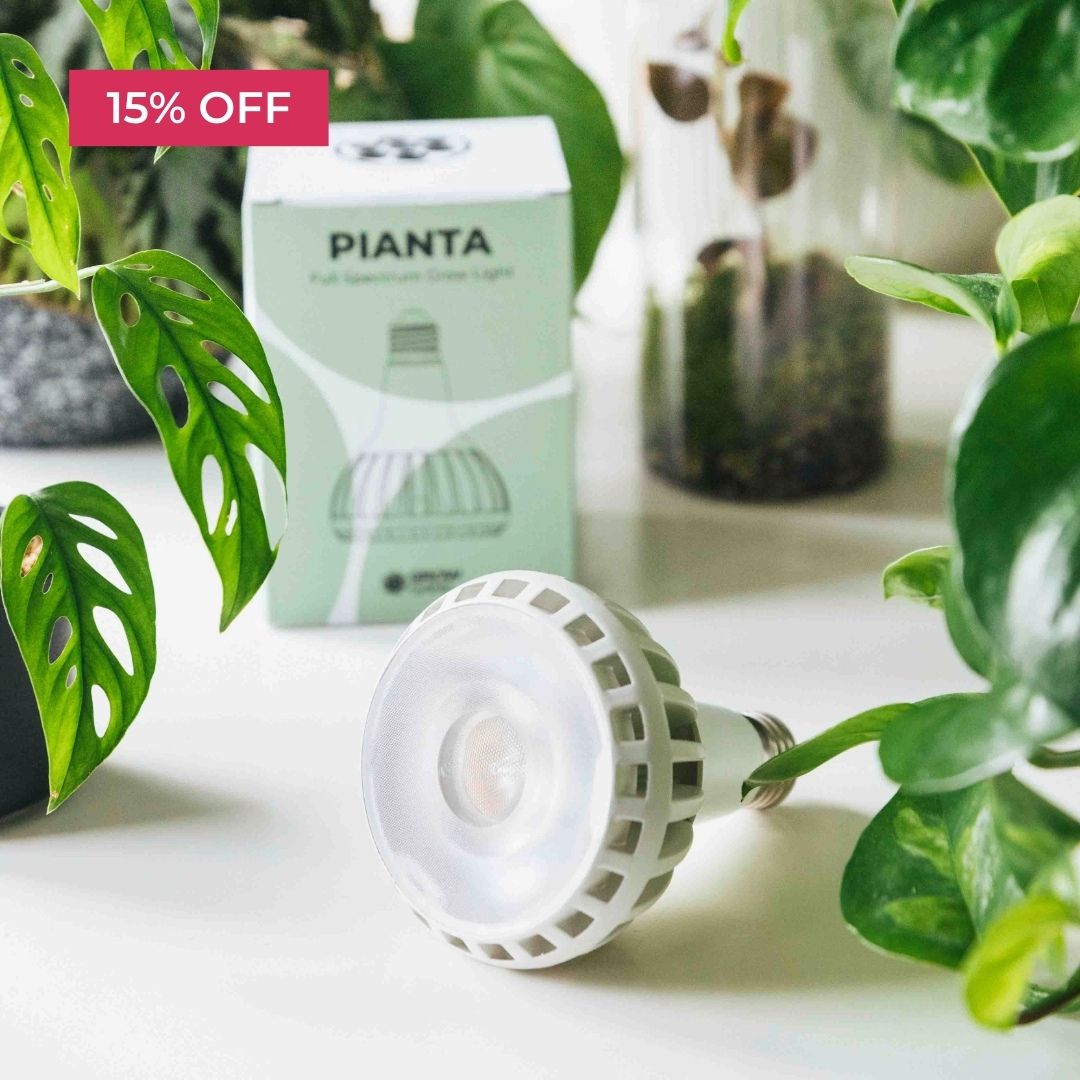 LED grow light bulb surrounded by green plants, with a '15% off' label.