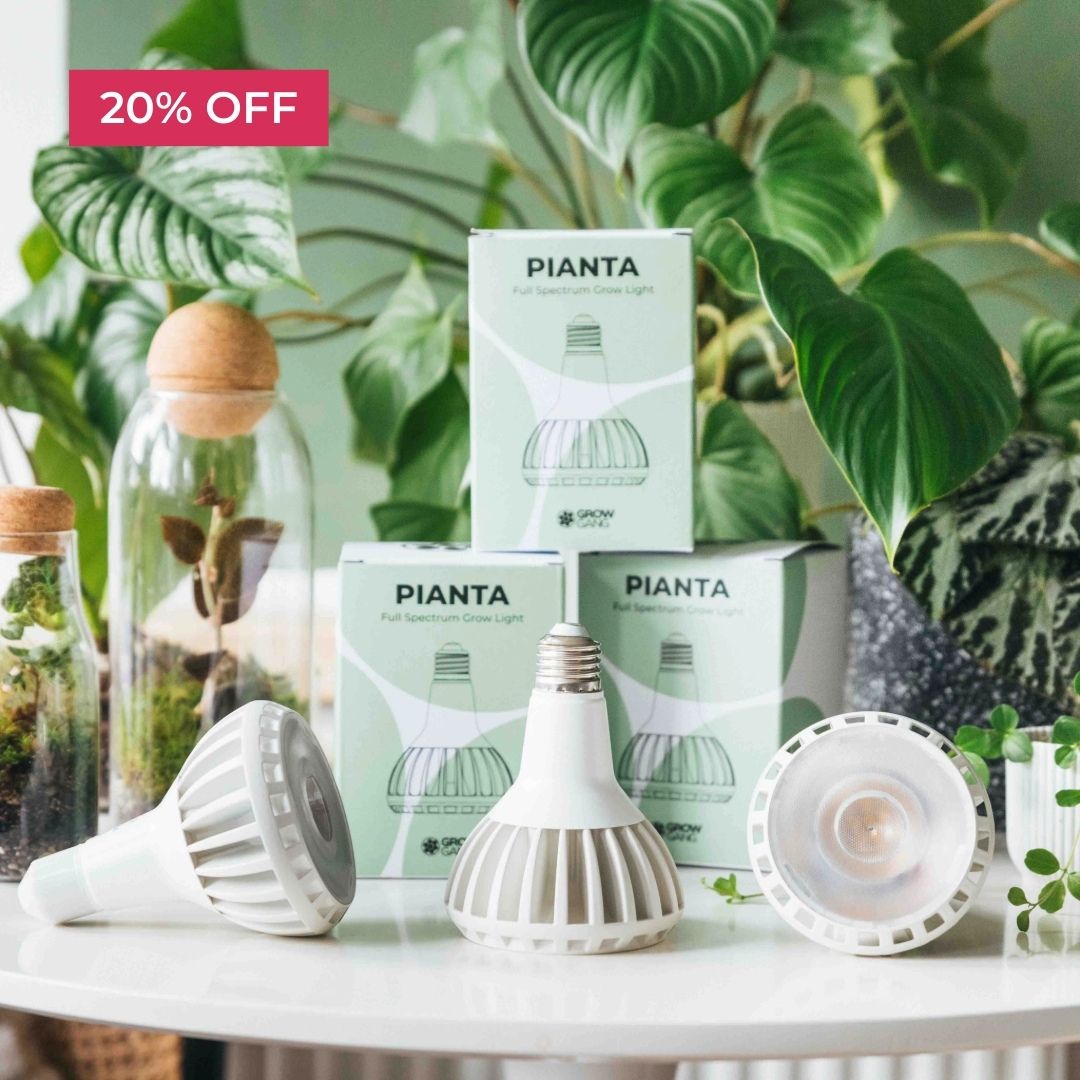 Grow lights and plants displayed with a 20% off sign.