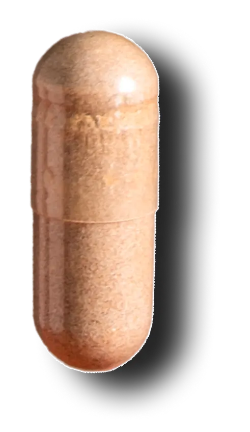 A single brown capsule pill on a white background.