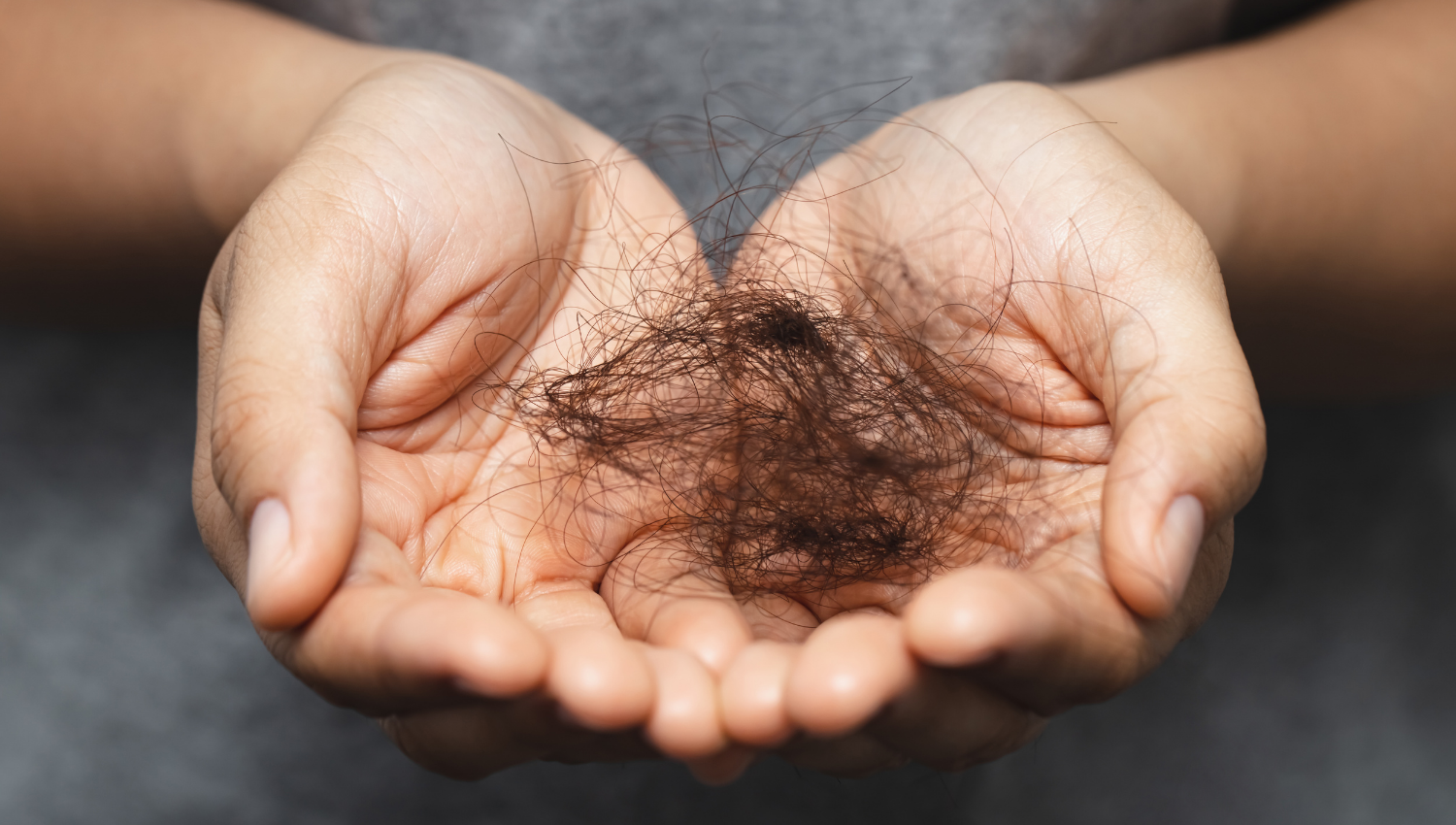 Hands holding a clump of dark hair.
