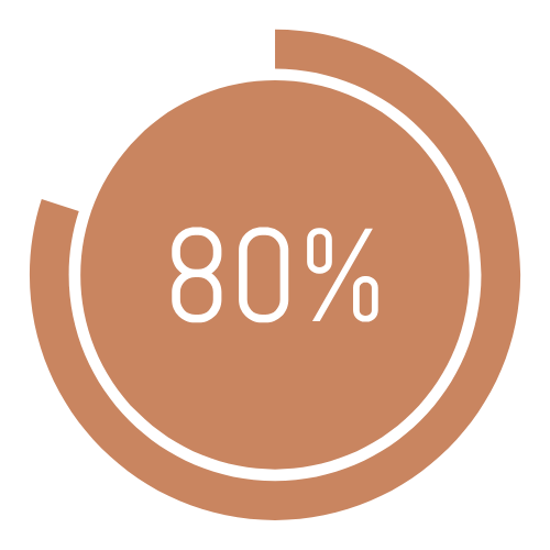 Circular progress bar showing 80% completion in brown color.