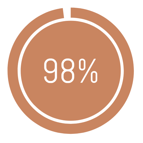 Circular progress bar showing 98% completion.