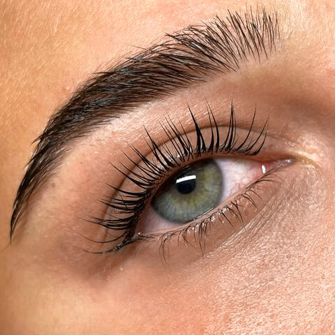 Close-up of a green eye with long eyelashes and well-groomed eyebrow.
