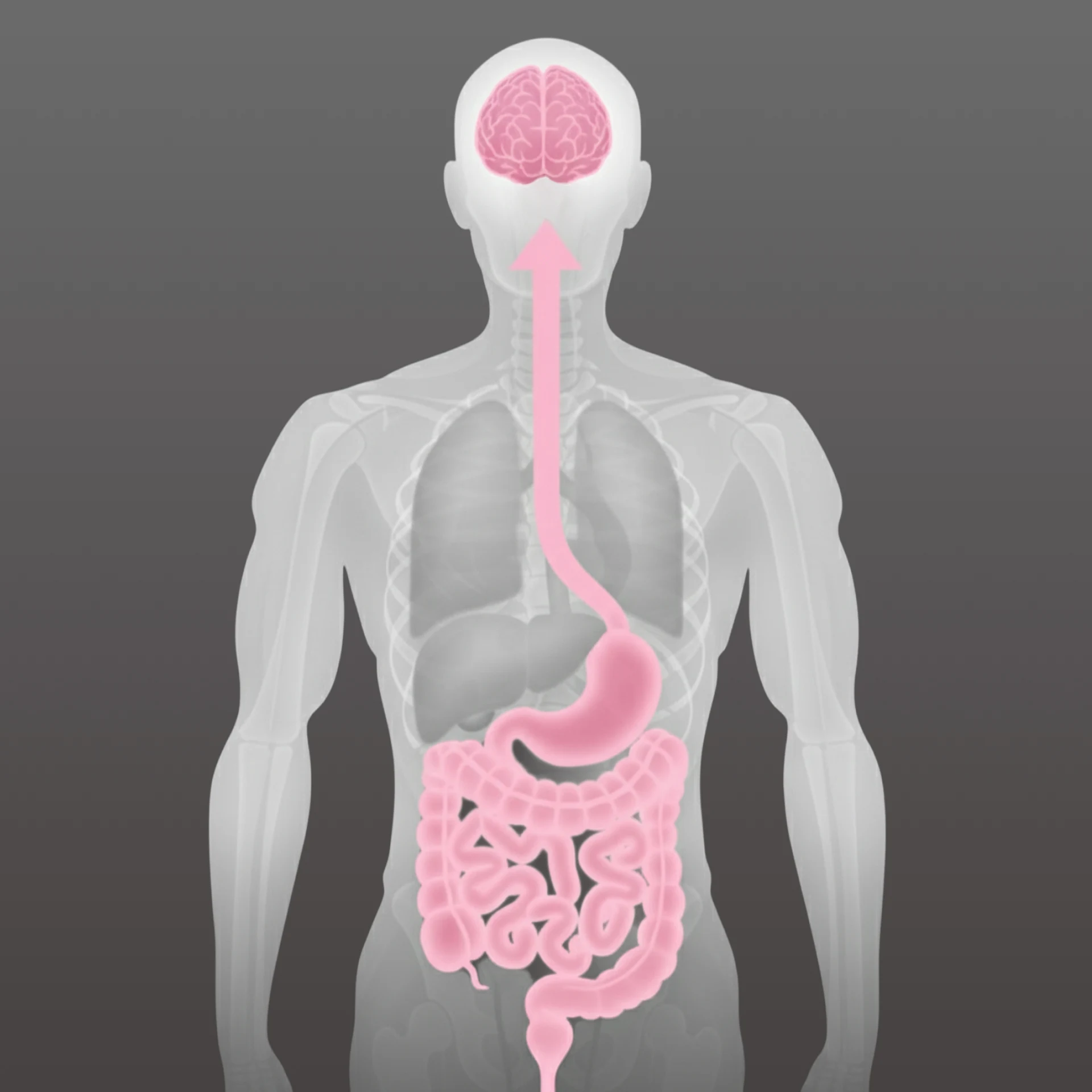 A diagram of the human body highlighting the digestive system and brain, with an arrow connecting them.